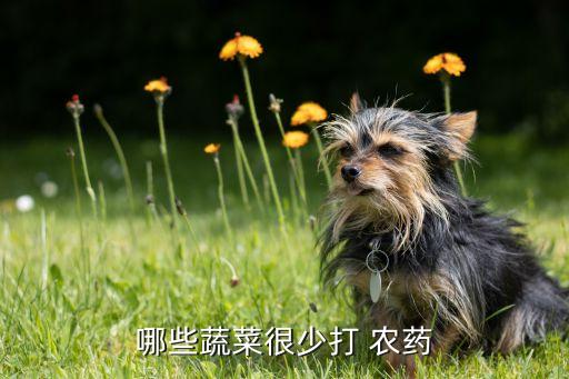 不能撒農藥的菜有什么