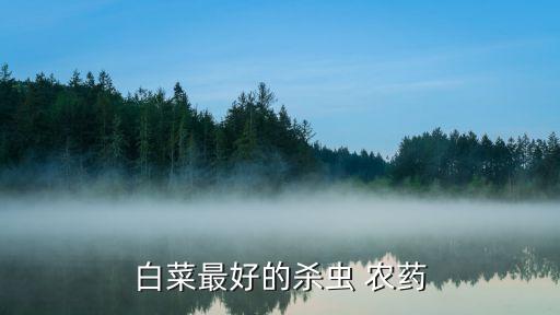 白菜最好的殺蟲 農藥