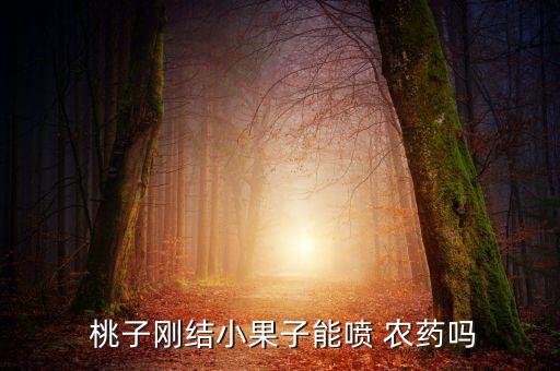  桃子剛結(jié)小果子能噴 農(nóng)藥嗎