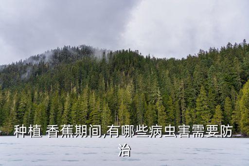 種植 香蕉期間,有哪些病蟲害需要防治