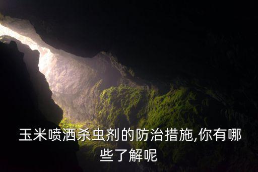  玉米噴灑殺蟲劑的防治措施,你有哪些了解呢