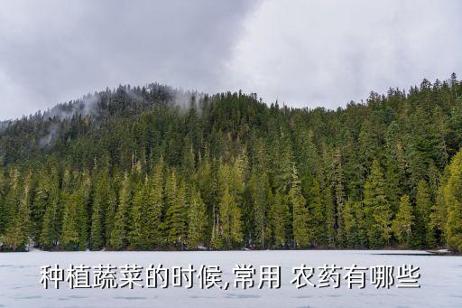 種植蔬菜的時候,常用 農藥有哪些