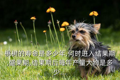 桃樹的壽命是多少年,何時進入結果期,盛果期,結果期后每年產量大約是多少...