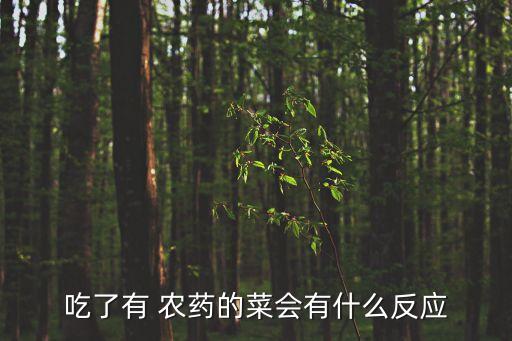 吃了有 農(nóng)藥的菜會有什么反應(yīng)