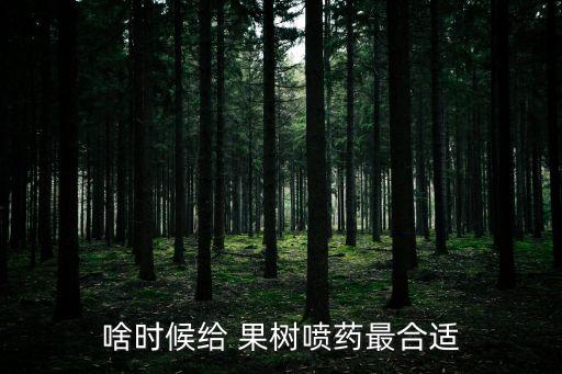啥時候給 果樹噴藥最合適