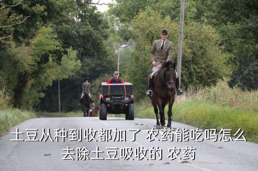 買的農藥做什么會計科目,農藥可以做什么菜