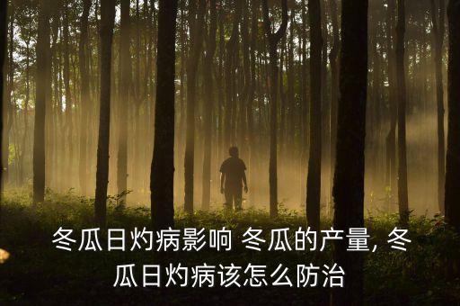  冬瓜日灼病影響 冬瓜的產量, 冬瓜日灼病該怎么防治