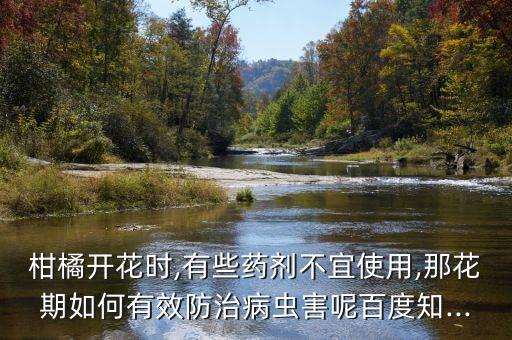柑橘開花時,有些藥劑不宜使用,那花期如何有效防治病蟲害呢百度知...