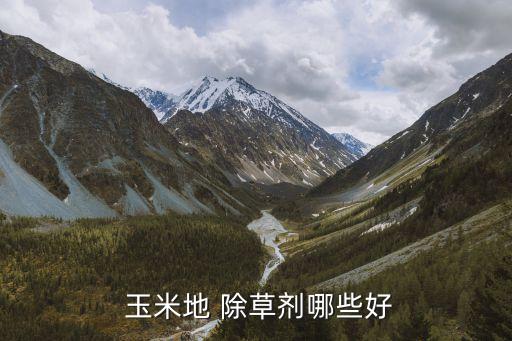 玉米除草用什么農藥最好,哪種農藥除草效果最好?