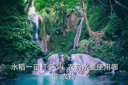日本水稻打什么農藥好,水稻最后一次打什么農藥