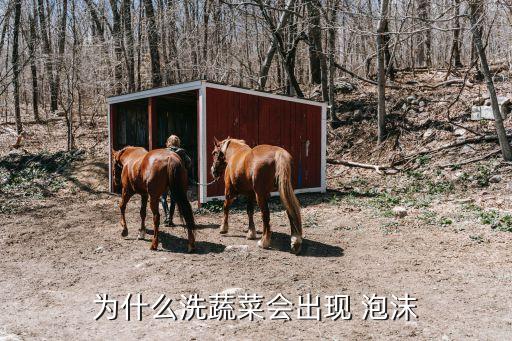 花生油起泡沫什么原因,農藥起泡沫什么原因