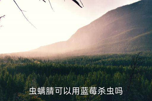 蟲螨腈可以用藍莓殺蟲嗎