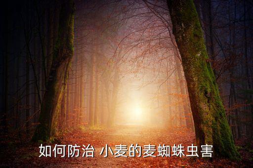 小麥需要打什么蟲子農(nóng)藥,小麥里面生的蟲子叫什么