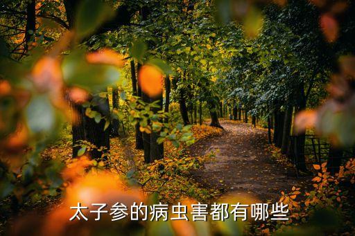 太子參苗期用什么農藥,油菜苗期打什么農藥