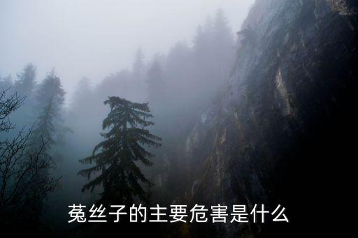 菟絲子的主要危害是什么