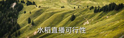 水稻直播可行性