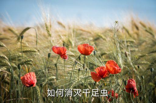 如何消滅千足蟲