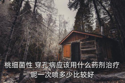 桃細菌性 穿孔病應該用什么藥劑治療呢一次噴多少比較好