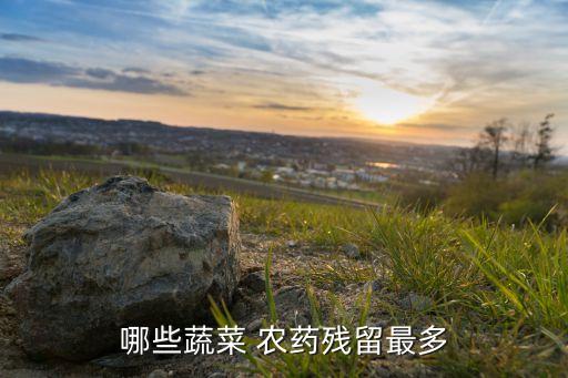 哪些蔬菜 農藥殘留最多