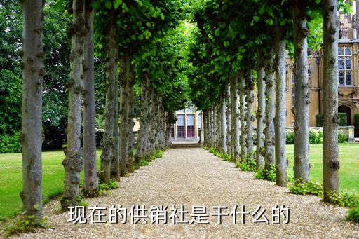 現在的供銷社是干什么的