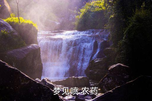 夢到買農藥是什么意思,孕婦夢到自己喝農藥了是什么意思