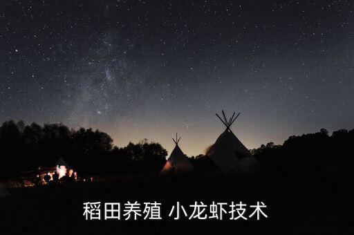 稻田養殖 小龍蝦技術