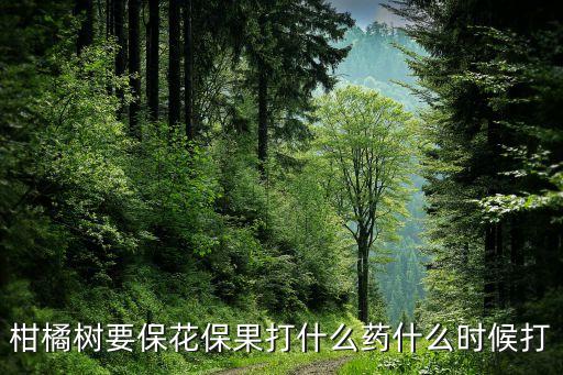 柑桔打什么農藥最好,一般什么時間打農藥最好