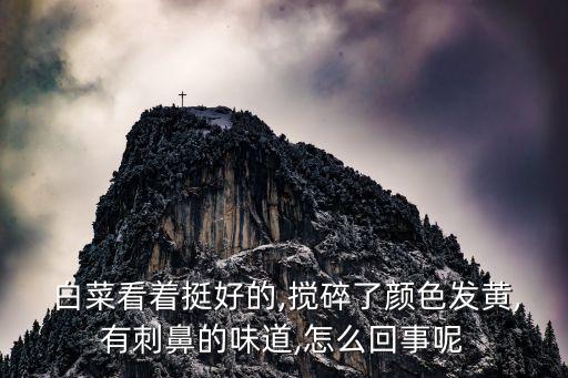  白菜看著挺好的,攪碎了顏色發黃,有刺鼻的味道,怎么回事呢