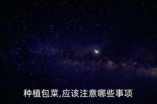 種植包菜,應該注意哪些事項