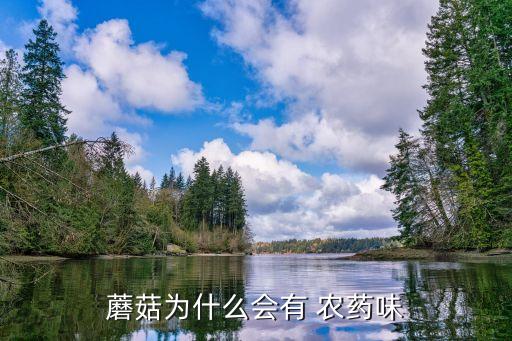 蘑菇為什么會有 農藥味