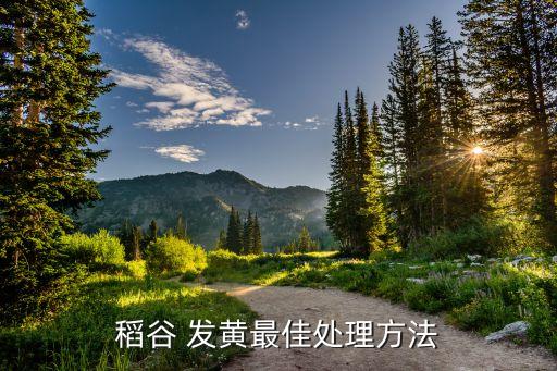 秧苗發黃死尾噴什么農藥