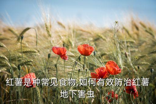 地瓜殺蟲要用什么農(nóng)藥,種地瓜用什么農(nóng)藥