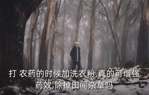什么粉可以當農藥用,蕨粉有什么功效和藥用
