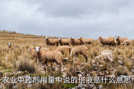 農(nóng)藥產(chǎn)品標準號什么意思,100倍農(nóng)藥什么意思
