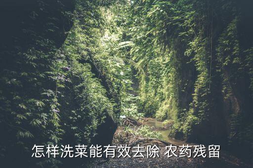 怎樣洗菜能有效去除 農(nóng)藥殘留