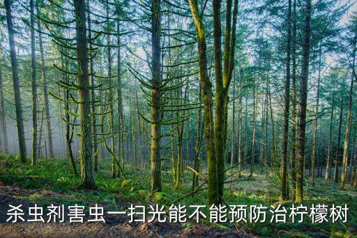 鬼畫符蟲害用什么農(nóng)藥,斑潛蠅幼蟲最好的特效藥