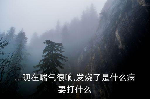 ...現在喘氣很響,發燒了是什么病要打什么