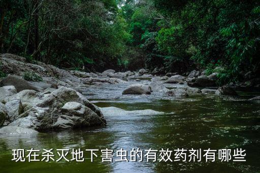 現(xiàn)在殺滅地下害蟲的有效藥劑有哪些