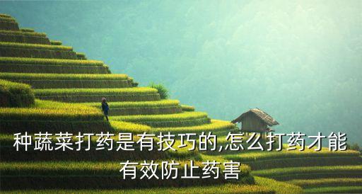 種蔬菜打藥是有技巧的,怎么打藥才能有效防止藥害