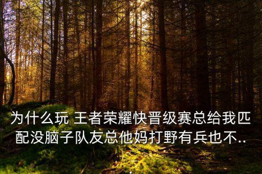 王者農(nóng)藥為什么這么弱智,為什么叫王者農(nóng)藥