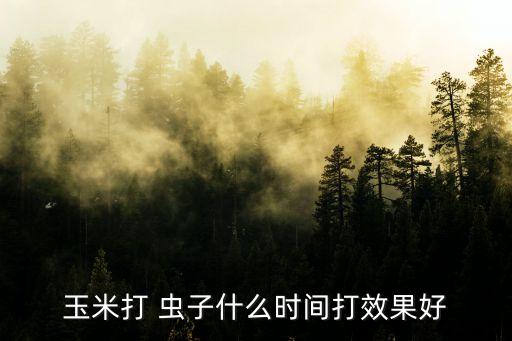 玉米打 蟲(chóng)子什么時(shí)間打效果好