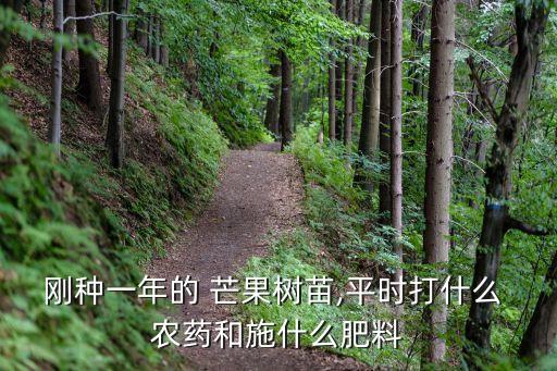 剛種一年的 芒果樹苗,平時打什么 農藥和施什么肥料