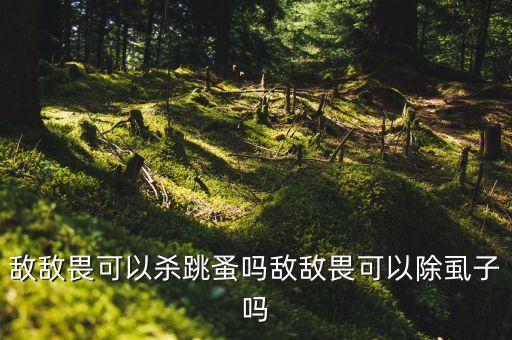 飛蚤用什么農藥可以殺死