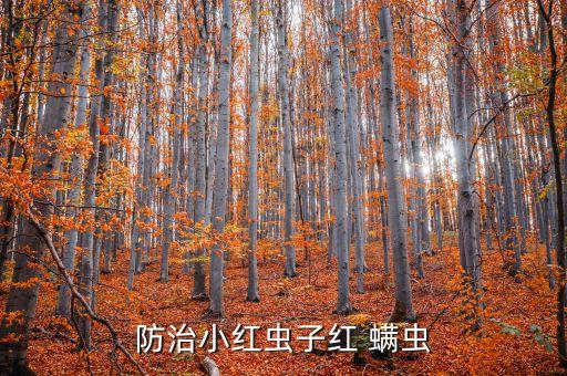 防治小紅蟲子紅 螨蟲