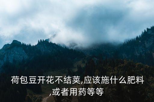 ,荷包豆花開時噴什么農藥
