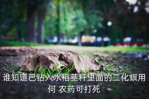 ,農藥福戈主治什么