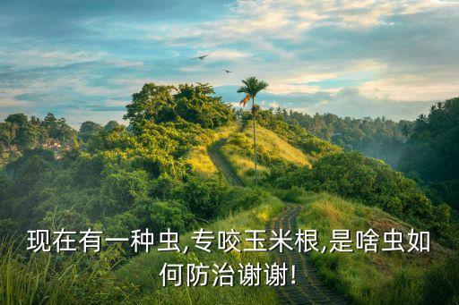 多?？耸鞘裁崔r藥,克歐森是什么農藥說明