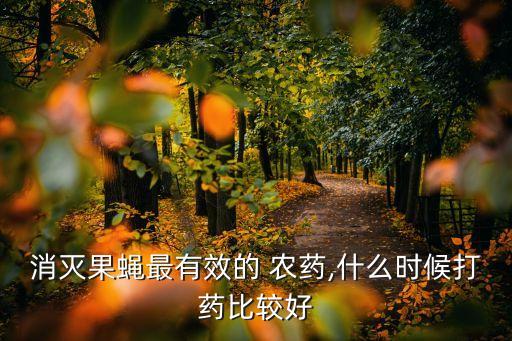 消滅果蠅最有效的 農(nóng)藥,什么時(shí)候打藥比較好