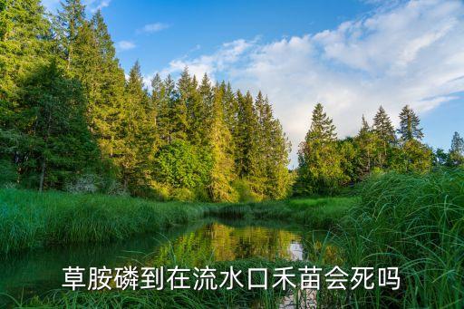 草胺磷到在流水口禾苗會(huì)死嗎
