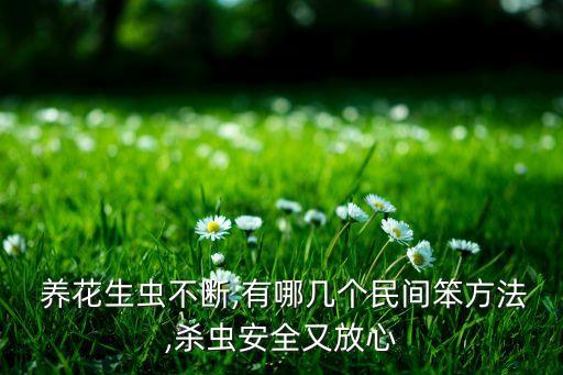  養花生蟲不斷,有哪幾個民間笨方法,殺蟲安全又放心